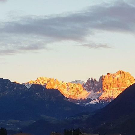 Domus Rose Rooms Bolzano Dış mekan fotoğraf
