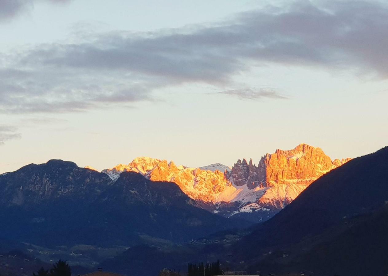Domus Rose Rooms Bolzano Dış mekan fotoğraf