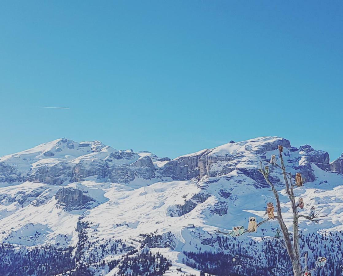 Domus Rose Rooms Bolzano Dış mekan fotoğraf