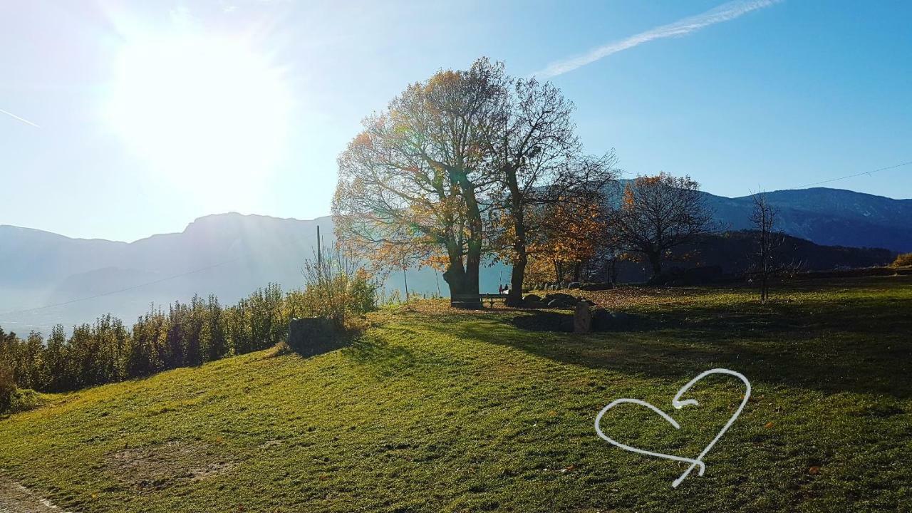 Domus Rose Rooms Bolzano Dış mekan fotoğraf