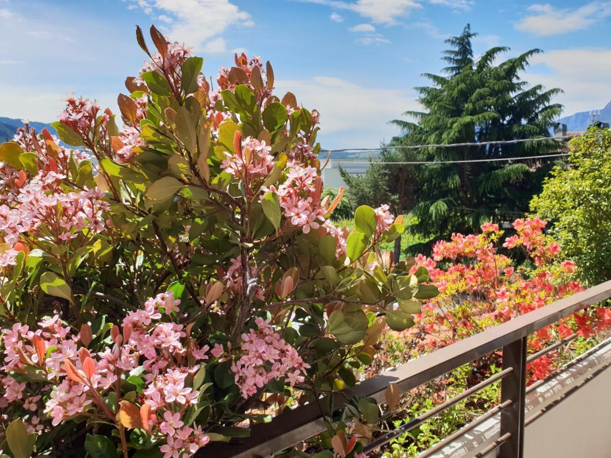 Domus Rose Rooms Bolzano Dış mekan fotoğraf