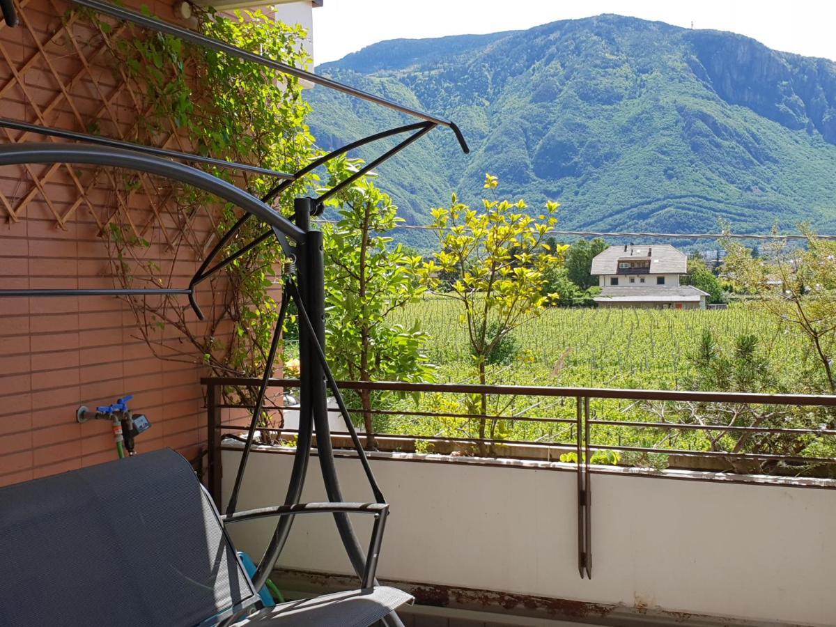 Domus Rose Rooms Bolzano Dış mekan fotoğraf