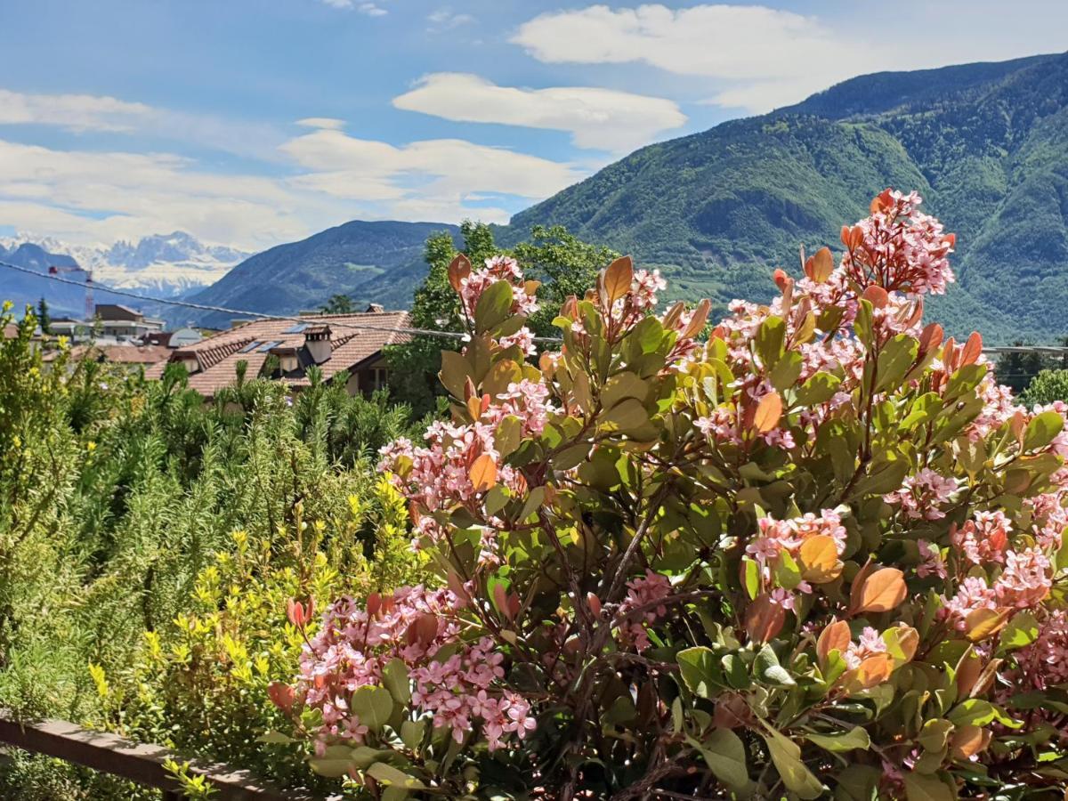 Domus Rose Rooms Bolzano Dış mekan fotoğraf